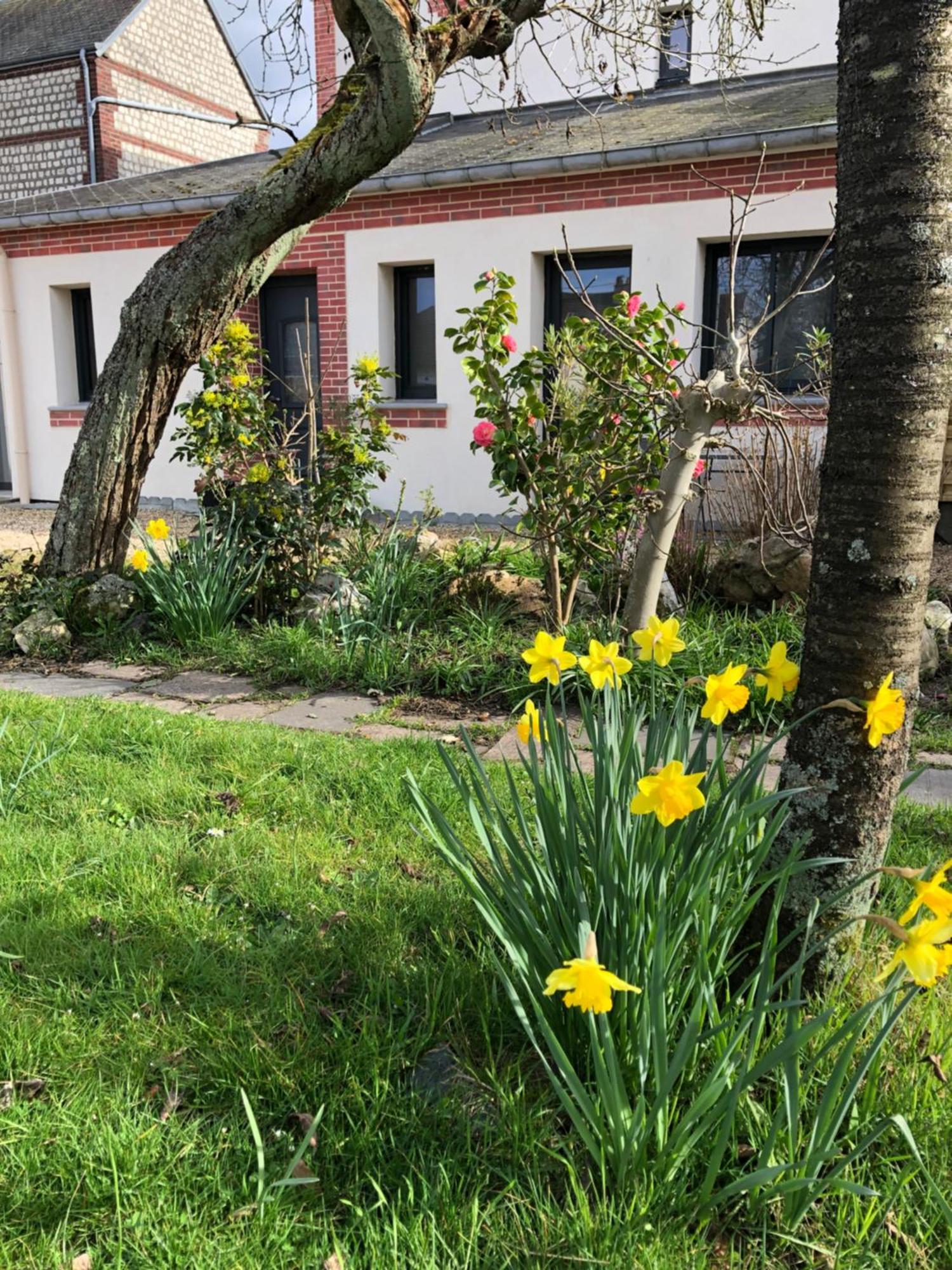 Les Cles D'A Cote - Maison D'Hotes De Charme Pres De Rouen Sotteville-lès-Rouen Eksteriør billede